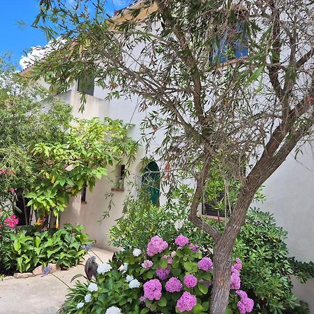 Joli Appartement Climatise Avec Terrasse A Moin 10 Minutes A Pieds De La Plage Calvi  Dış mekan fotoğraf